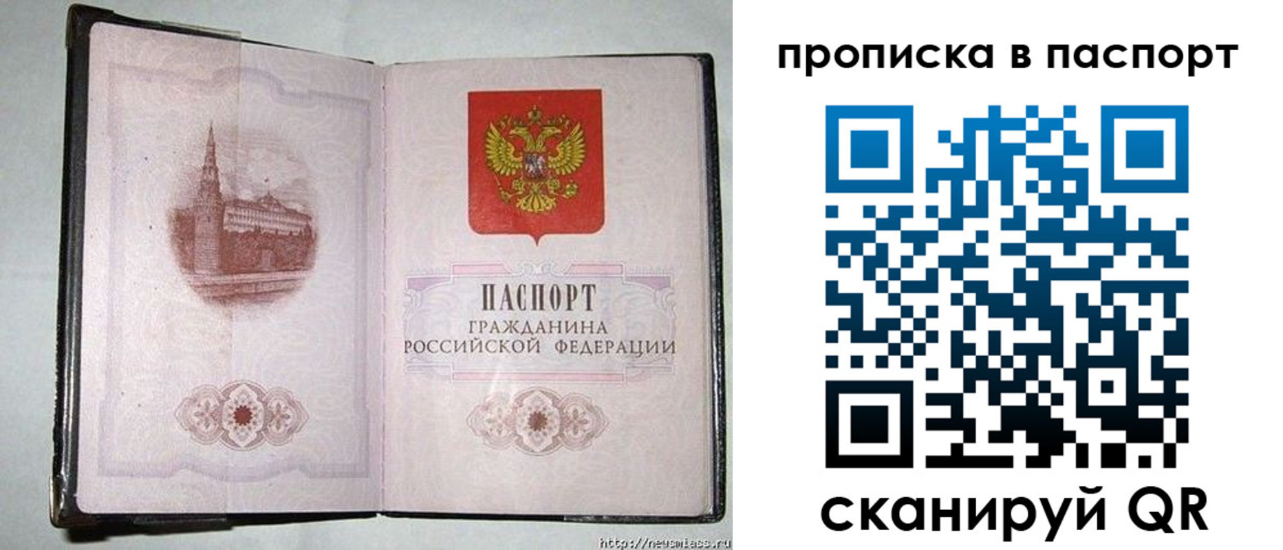 прописка гарантия в Химках
