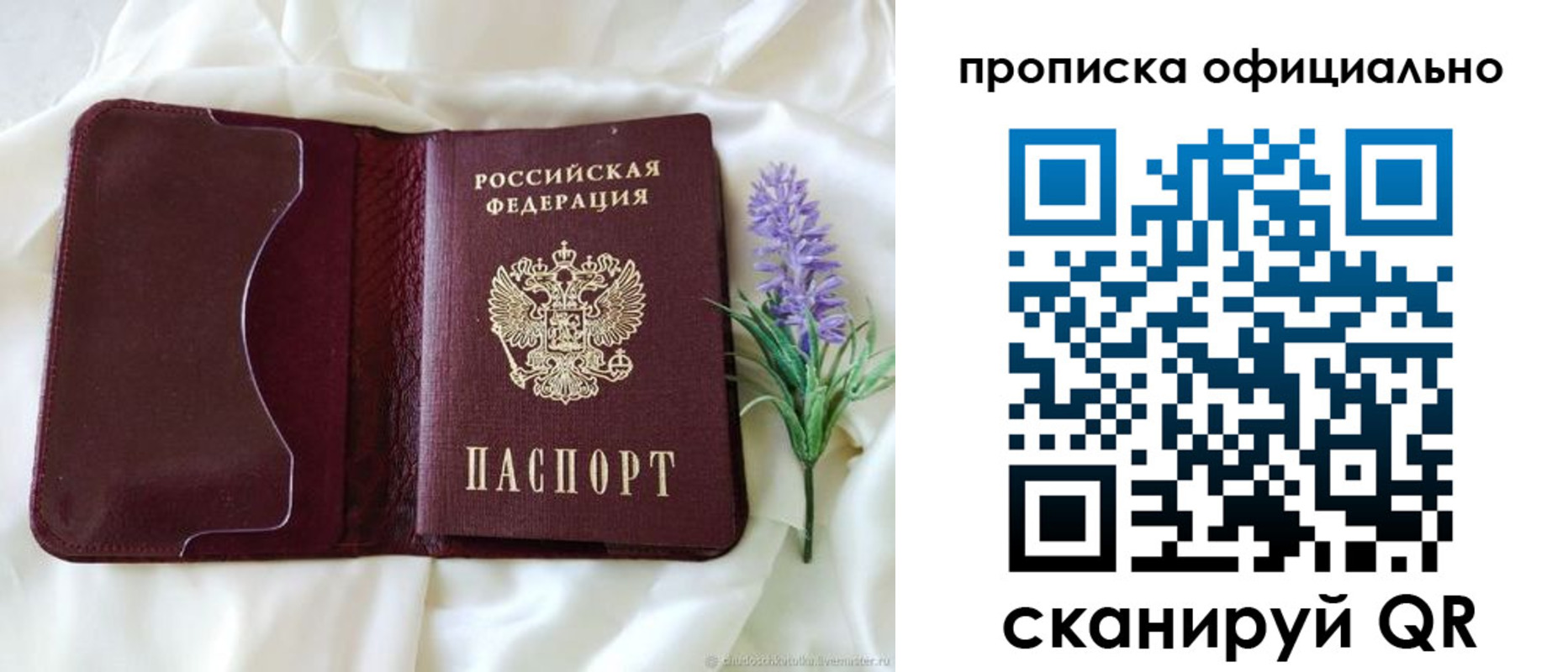 прописка поиск в Химках